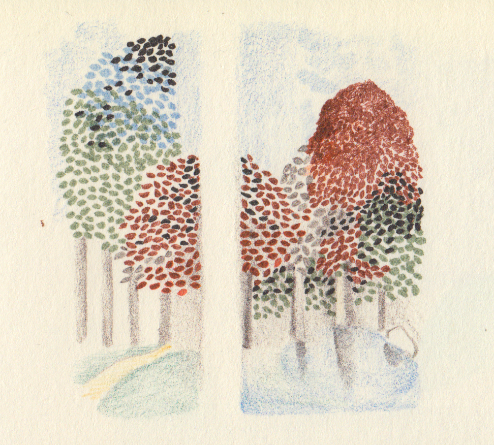 Entrada sin título 2492