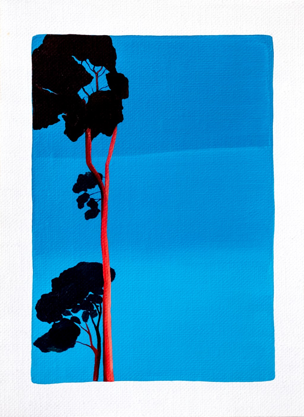 Entrada sin título 2680